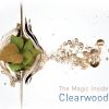 Clearwood by Firmenich, Pengganti Minyak Nilam