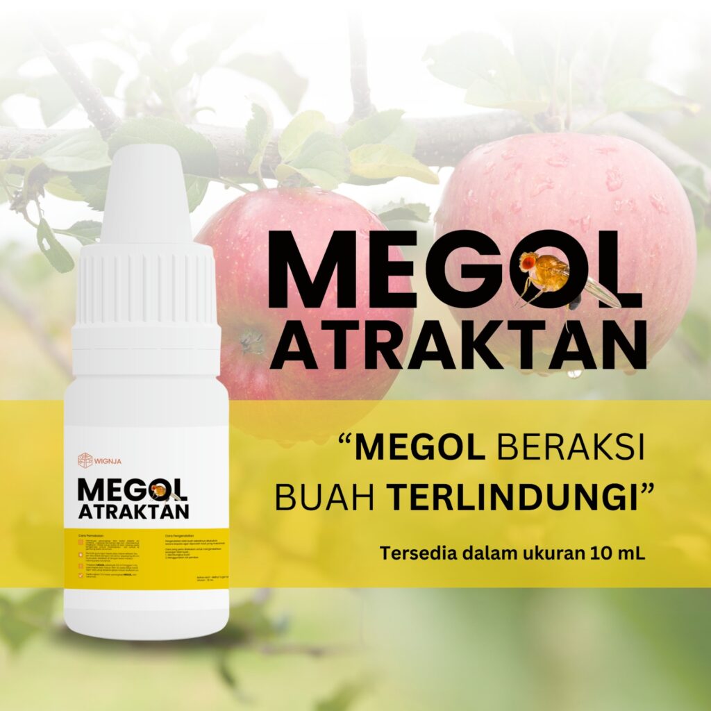 Megol Atraktan : Biopest untuk lalat buah